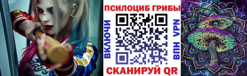 цены наркотик  Пустошка  Галлюциногенные грибы ЛСД 